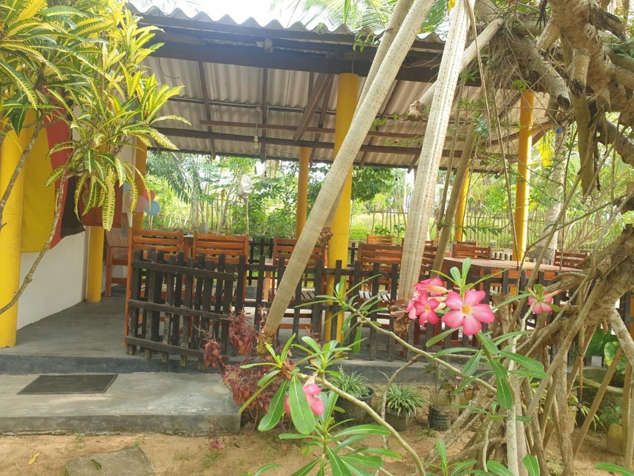טנגלה Beach Lagoon Guesthouse מראה חיצוני תמונה