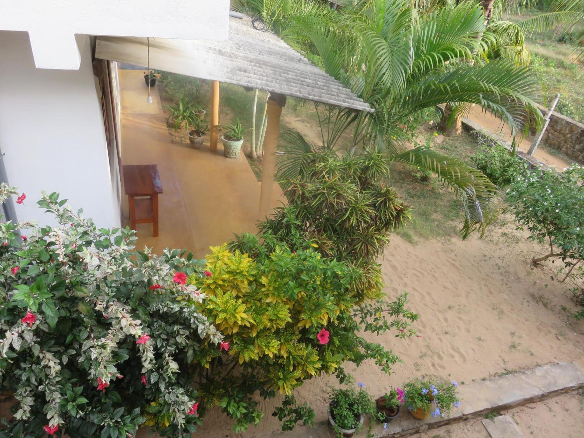 טנגלה Beach Lagoon Guesthouse מראה חיצוני תמונה