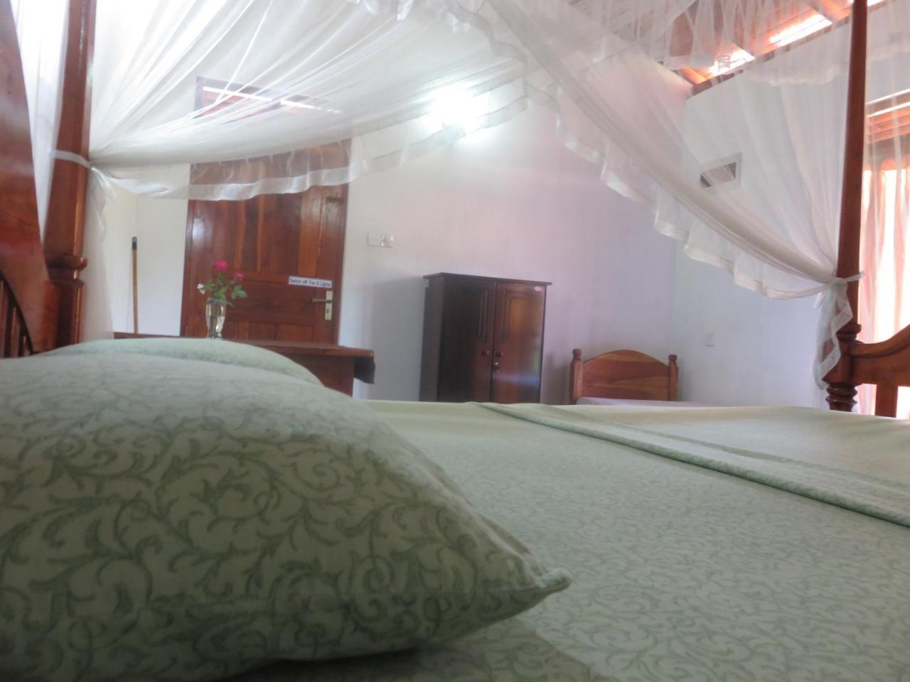 טנגלה Beach Lagoon Guesthouse מראה חיצוני תמונה