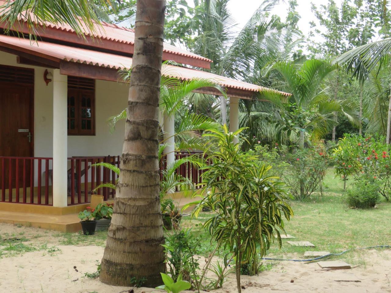 טנגלה Beach Lagoon Guesthouse מראה חיצוני תמונה