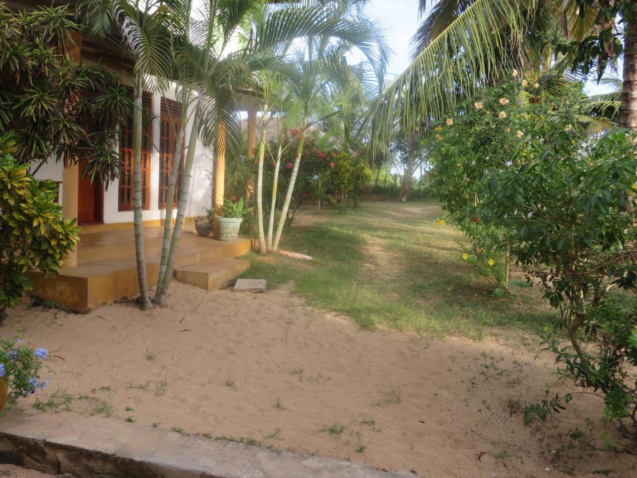 טנגלה Beach Lagoon Guesthouse מראה חיצוני תמונה